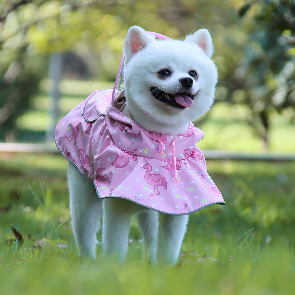 New Pet Clothes Waterproof Reflective Cape Raincoat Transparent PU Leather Dog Raincoat - Image 6